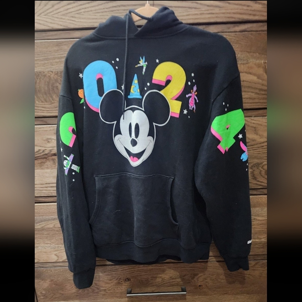 Sweatshirt Disney 2024